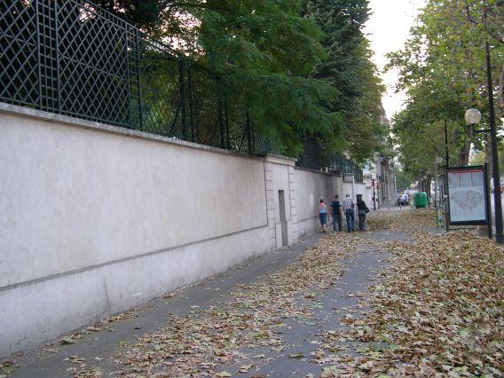 feuilles mortes, août 2003